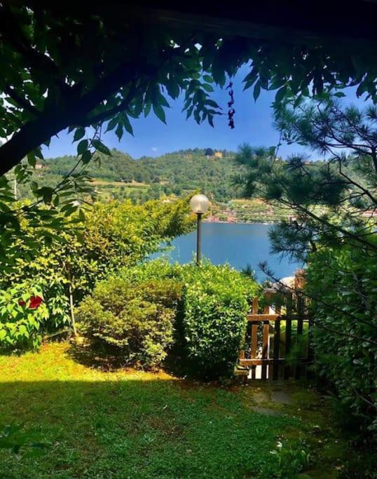 Villa Giardino Con Pontile Sul Lago D'Orta In Riva Orta San Giulio Eksteriør bilde