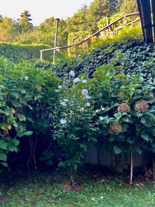 Villa Giardino Con Pontile Sul Lago D'Orta In Riva Orta San Giulio Eksteriør bilde